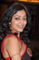 Janani Iyer Latest Hot Saree Photo Gallery