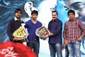 Janda Pai Kapiraju Movie Audio Launch Stills