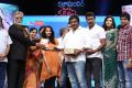 Janda Pai Kapiraju Movie Audio Launch Stills