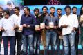 Janda Pai Kapiraju Movie Audio Launch Stills