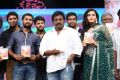 Janda Pai Kapiraju Movie Audio Launch Stills