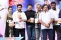 Janda Pai Kapiraju Movie Audio Launch Stills