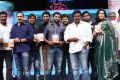 Janda Pai Kapiraju Movie Audio Launch Stills