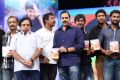 Janda Pai Kapiraju Movie Audio Launch Stills