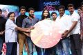 Janda Pai Kapiraju Movie Audio Launch Stills