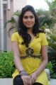 Actress Manisha Yadav at Jannal Oram Movie Press Meet Stills