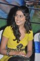 Actress Manisha Yadav at Jannal Oram Movie Press Meet Stills