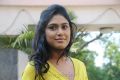 Manisha Yadav at Jannal Oram Movie Press Meet Photos