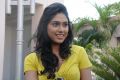 Manisha Yadav at Jannal Oram Movie Press Meet Photos