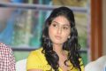 Manisha Yadav at Jannal Oram Movie Press Meet Photos