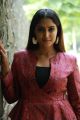 Jarugandi Actress Reba Monica John HD Images