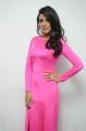 Telugu Actress Jasmine Hot in Pink Dress Pictures