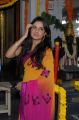 Actress Jasmine Pink Saree Stills at Sairam Shankar Movie Opening