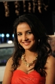 Tamil Actress Jasmine Bhasin Stills in Vaanam Movie