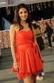 Tamil Actress Jasmine Bhasin Stills in Vaanam Movie