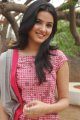 Cute Jasmine Bhasin Stills