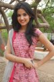 Jasmine New Actress Pictures