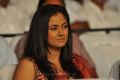 Actress Simran at Jaya TV 14th Anniversary Stills