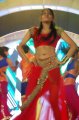 Dhanshika Hot Dance @ Jaya Awards 2011 Stills