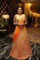 Shivani Rajasekar @ Jayasudha son Nihar Kapoor Wedding Reception Stills