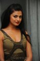 Jayati Guha Photo Shoot Stills