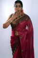 Telugu Actress Jayavani in Saree Photo Shoot Stills