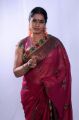 Telugu Actress Jayavani in Saree Photoshoot Stills