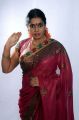 Actress Jayavani Latest Photoshoot Stills in Pink Designer Saree