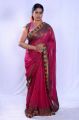 Actress Jayavani in Pink Saree Photoshoot Stills