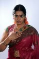 Telugu Actress Jayavani in Saree Photoshoot Stills