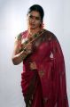 Actress Jayavani in Saree Photoshoot Stills