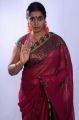 Telugu Actress Jayavani in Saree Photoshoot Stills