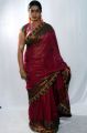 Telugu Actress Jayavani in Saree Photo Shoot Stills