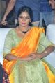 Actress Jayavani Latest Saree Images @ Bharat Ane Nenu Blockbuster Celebrations