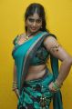 Actress Jayavani Hot Photos @ Minugurulu Audio Release