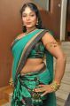 Jayavani Hot in Saree at Minugurulu Movie Audio Release Function