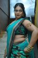 Jayavani Saree Hot Photos @ Minugurulu Audio Release