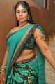 Jayavani Hot in Saree at Minugurulu Movie Audio Launch Function