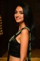 Actress Jazba Singh Hot Photos @ Hippi Movie Pre Release