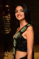 Actress Jazba Singh Hot Photos @ Hippi Pre Release