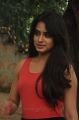 Actress Dimple Chopade @ Jeyikkira Kudhira Movie Launch Stills
