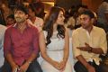 Jil Movie Success Meet Stills