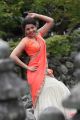 Jilla Movie Heroine Kajal Agarwal Hot Stills