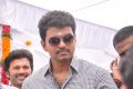 Actor Ilayathalapathy Vijay at Jilla Movie Launch Stills