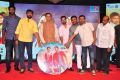 Jilla Telugu Audio Launch Photos