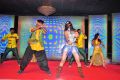 Jilla Telugu Audio Launch Photos