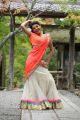 Actress Kajal Agarwal in Jilla Telugu Movie Photos