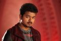 Actor Vijay in Jilla Telugu Movie Photos