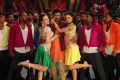 Jilla Telugu Movie Photos