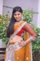 Telugu Actress Ziya Khan Hot in Saree Photos